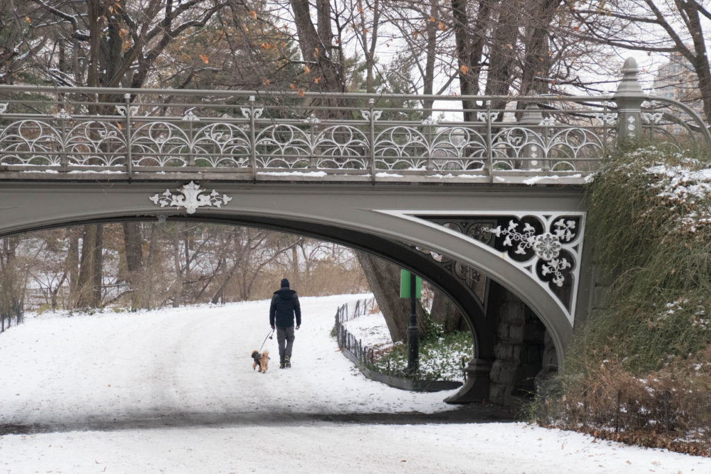 Central Park NYC
