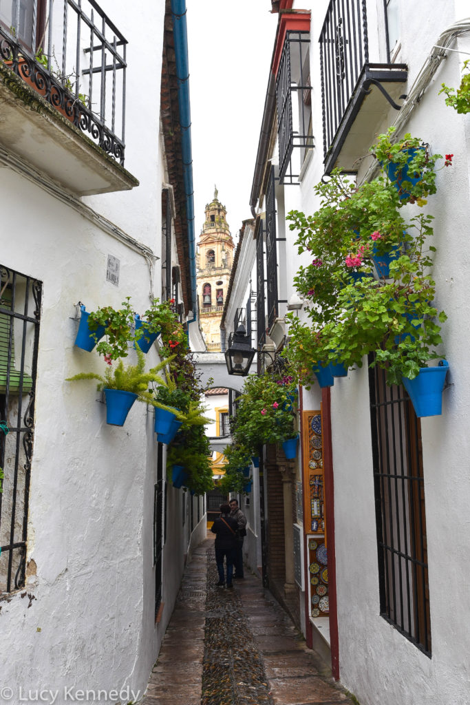 Cordoba
