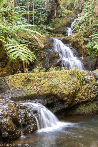 Onomea Falls