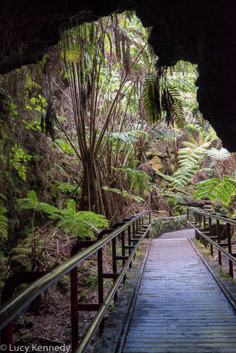 Entrance to Lava Tube, Volcano National Park