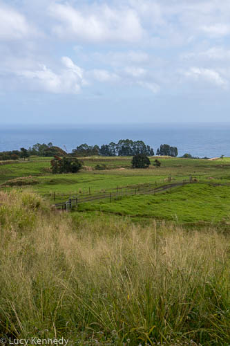 Hamakua Coast