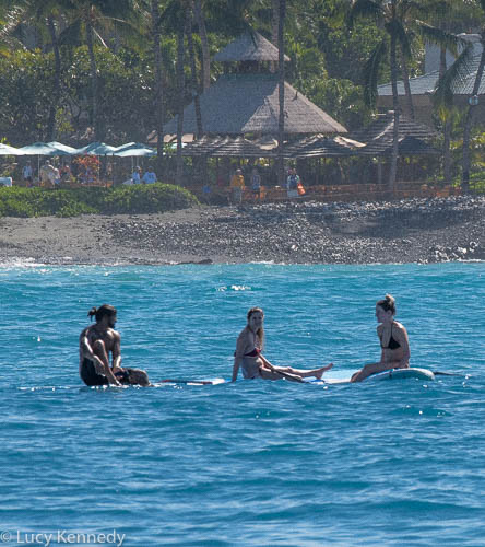 Waiting for a Wave Kohala