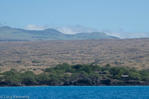 Kahola Coast
