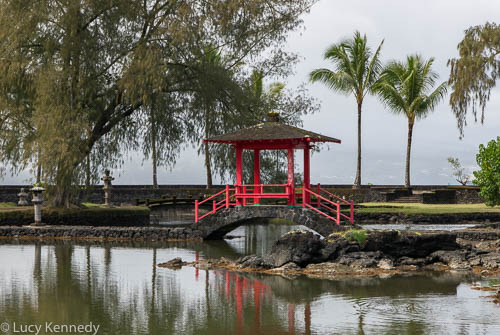 Hilo Park