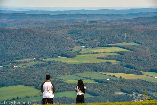 Mt. Greylock