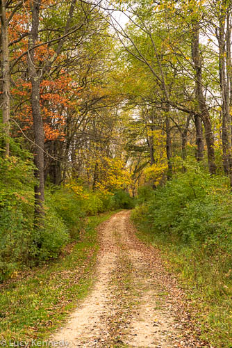 Woods Pond Area, Lenox Dale