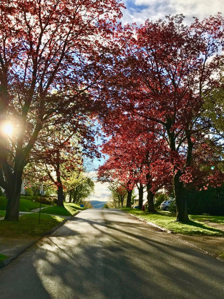 Spring Tucker Street