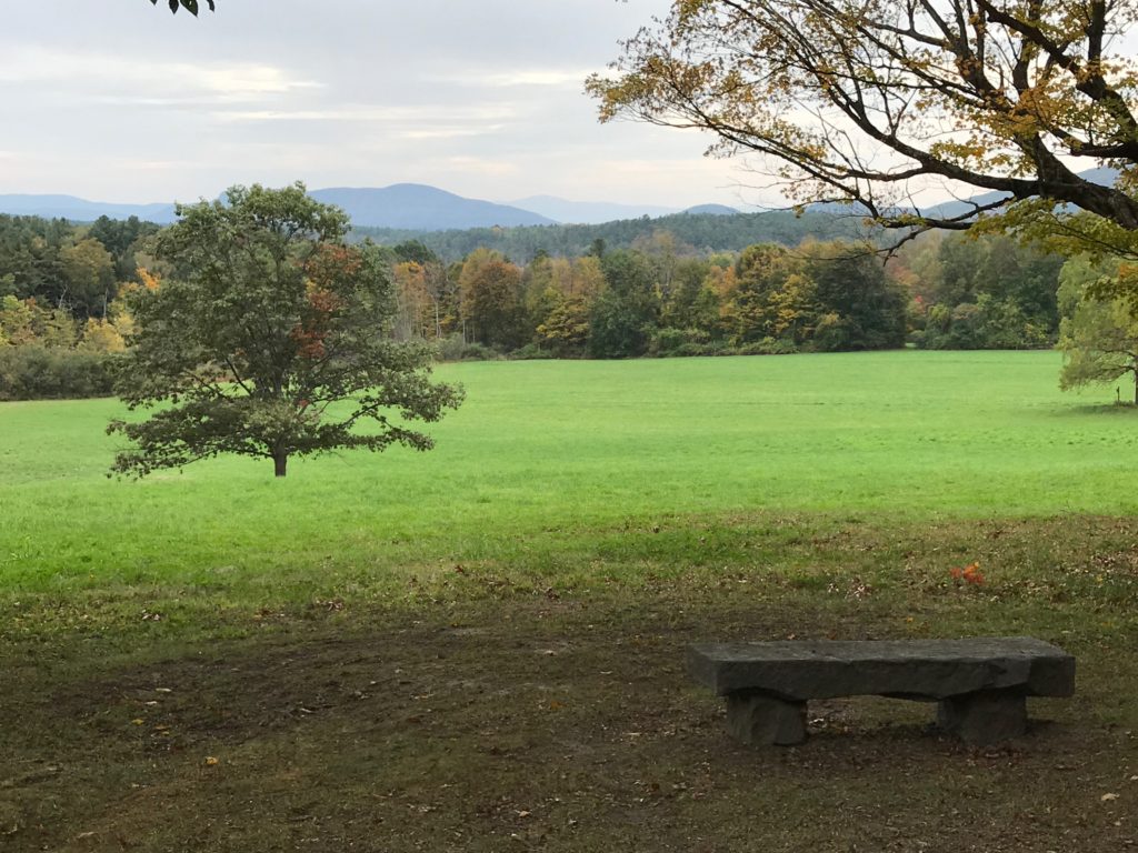 Gould Meadow Fall