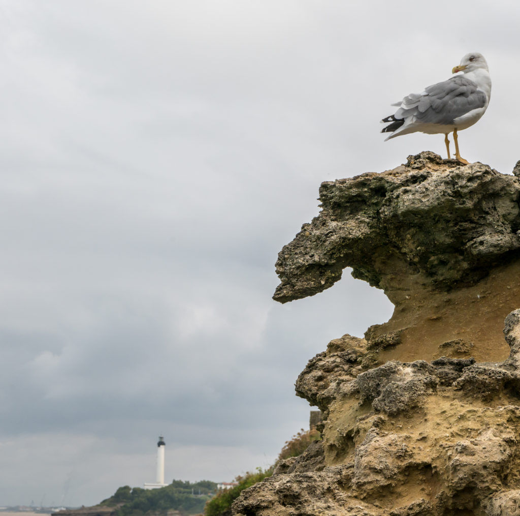 Biarritz
