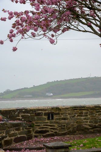 Youghal