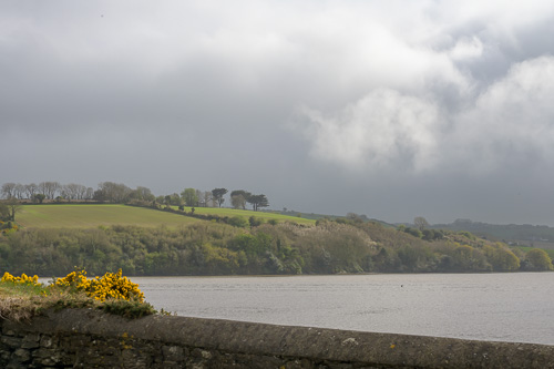 Kinsale