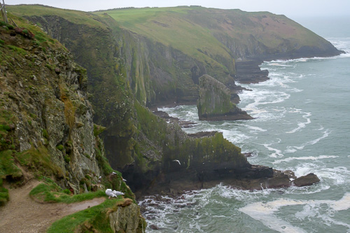 Kinsale Head