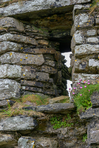 Kinsale Head