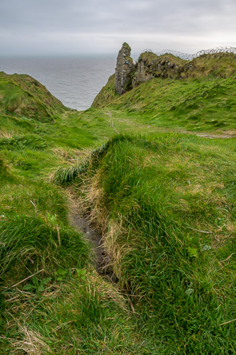 Kinsale Head