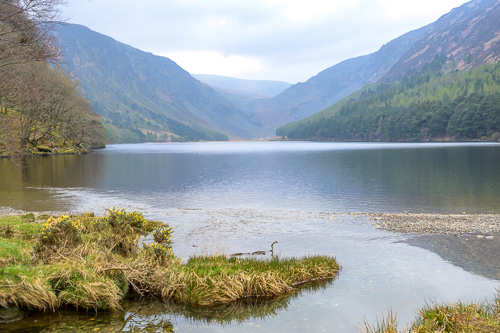 Glendalough