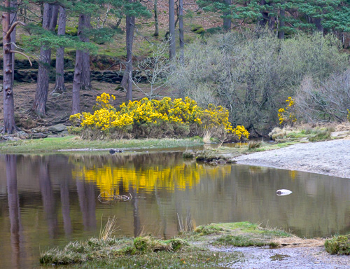 Glendalough