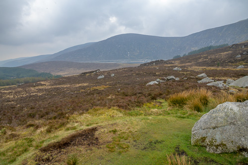 Sally Gap